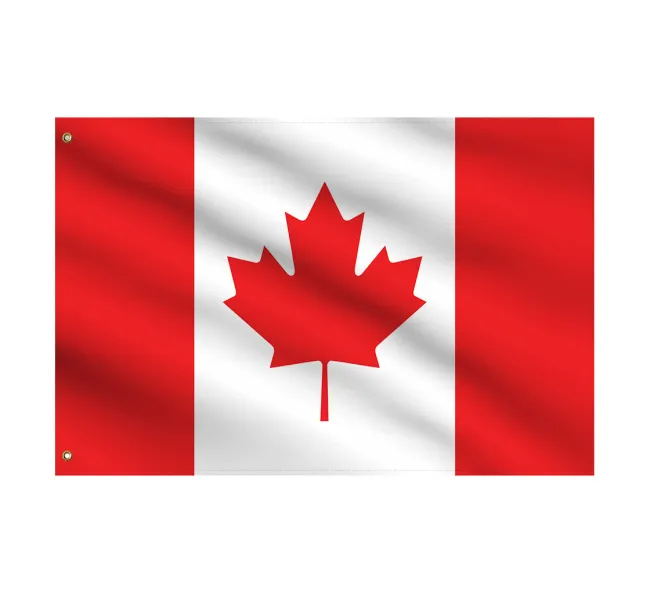 15 Canadian Companies That Sponsor Foreign Workers In 2024